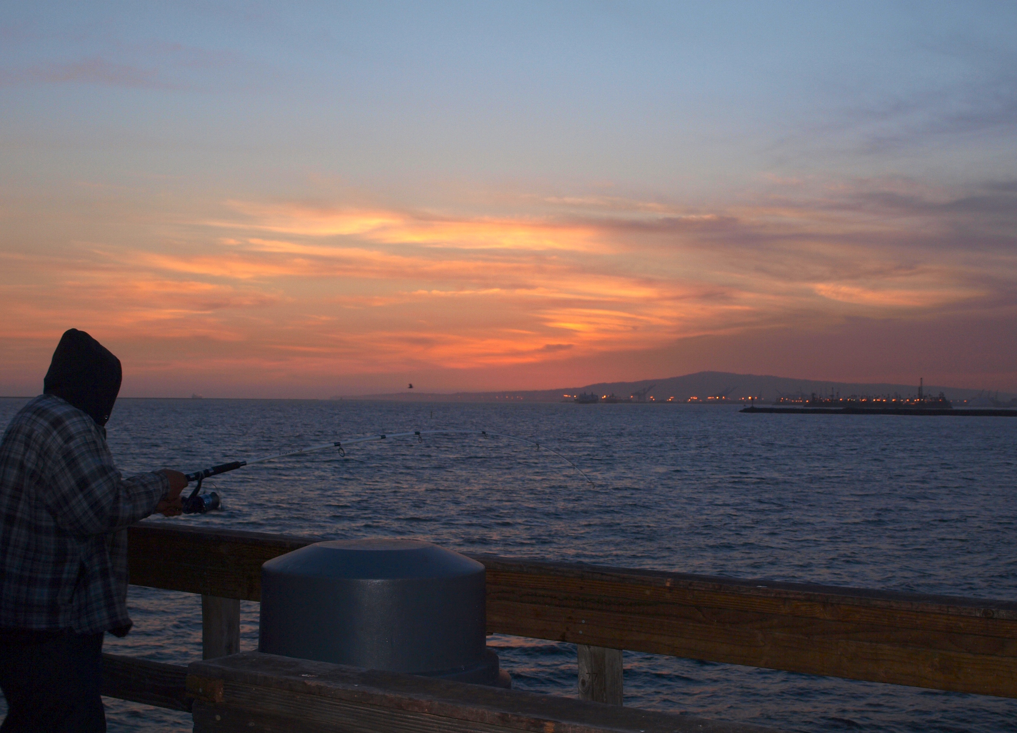 Seal Beach Pier - Pier Fishing in California