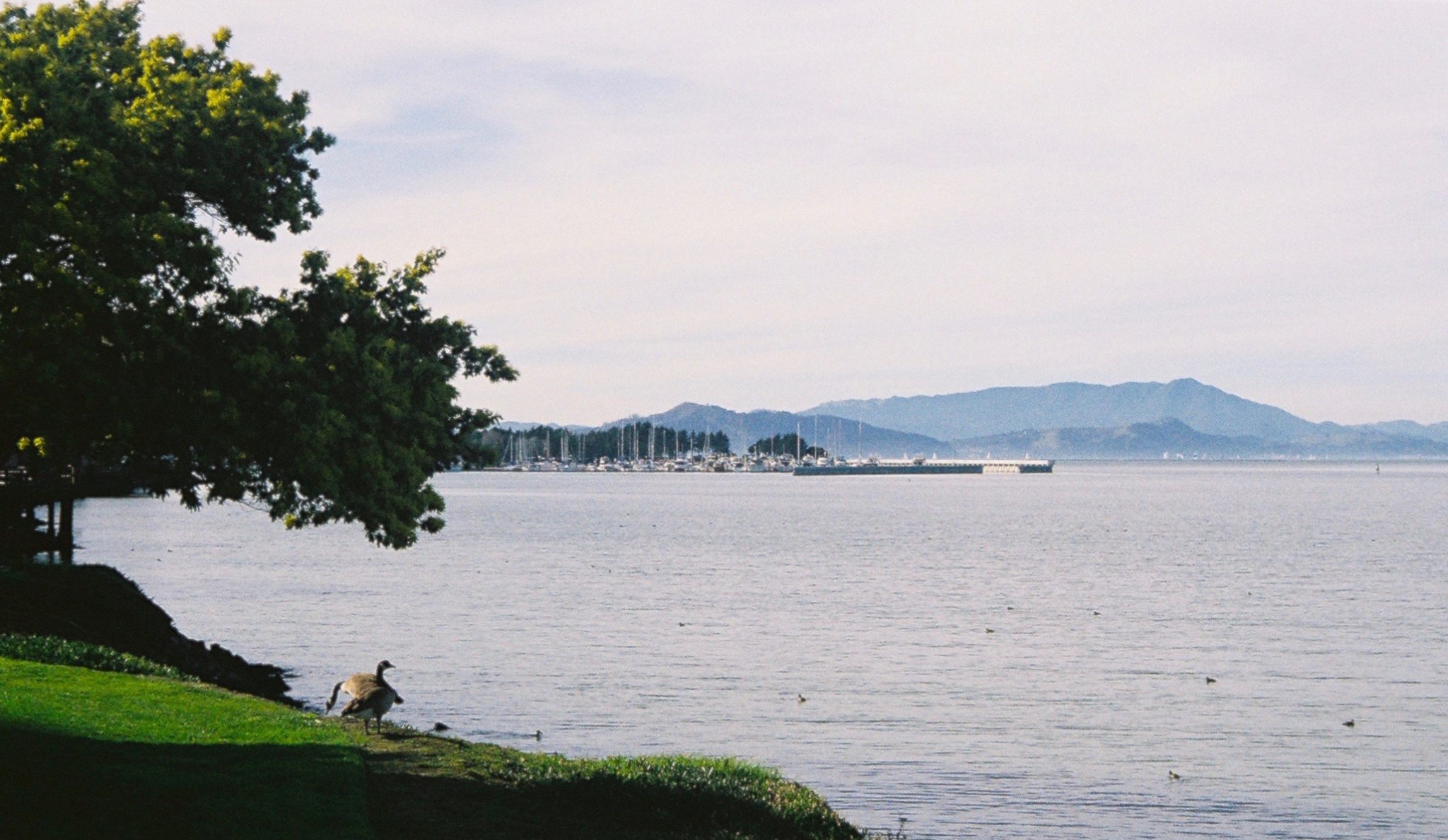 Chevys Pier — Emeryville Pier Fishing in California