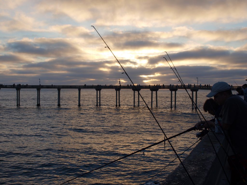 Ocean Beach Pier (2) - Page 3 of 5 - Pier Fishing in California